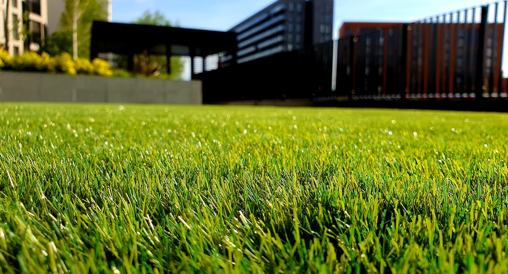 artificial grass Sydney
